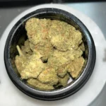 Alma - East Coast Dank’z