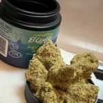 Alma - East Coast Dank’z