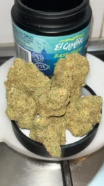 Alma - East Coast Dank’z