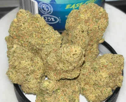 Alma - East Coast Dank’z