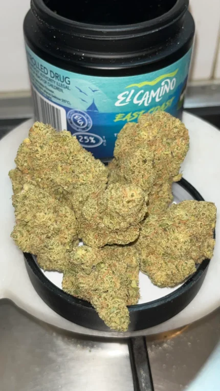 Alma - East Coast Dank’z