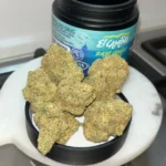 Alma - East Coast Dank’z