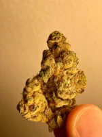 Alma MTL Frost’d Flakes T30 Indica