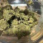 Aurora - Moon Berry Balanced T9/C13