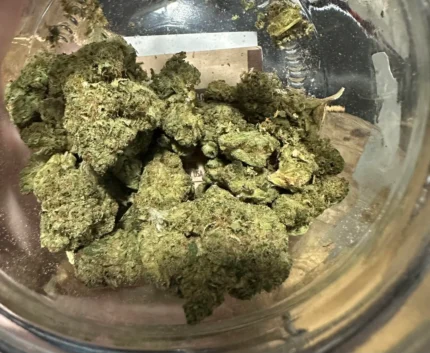 Aurora - Moon Berry Balanced T9/C13