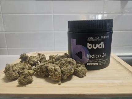 Budi Indica 26