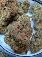 Cannasseur Frosted Cookies T25