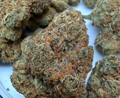 Cannasseur Frosted Cookies T25