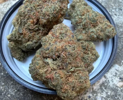 Cannasseur Frosted Cookies T25