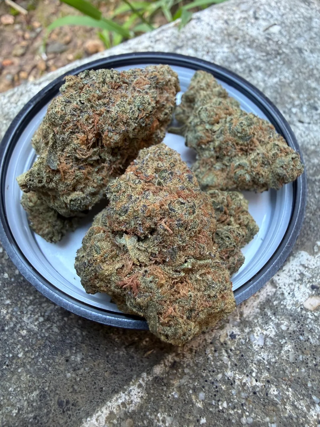 cannasseur-frosted-cookies-25-review-v0-dkxj7ezt135g1 Cannasseur Frosted Cookies T25