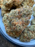 Cannasseur Frosted Cookies T25