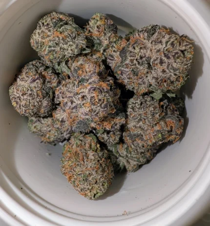 Chemovar Black Amber