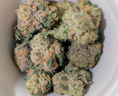 Yuzu Sherb Australia