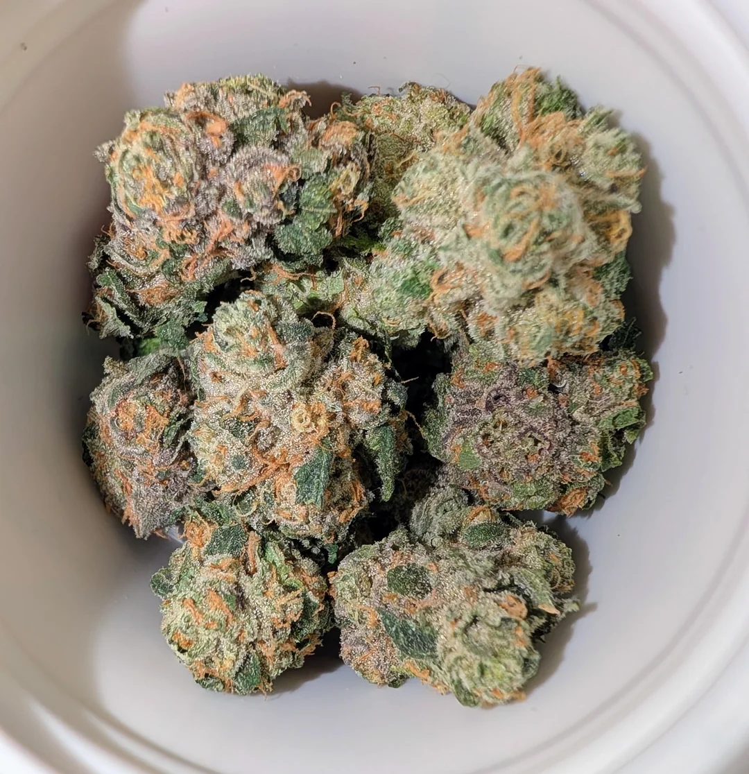 chemovar-black-amber-and-yuzu-sherb-v0-uz548qrup0ag1 Yuzu Sherb Australia