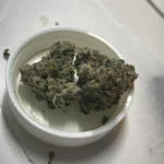 Cherry Biscotti - Doja