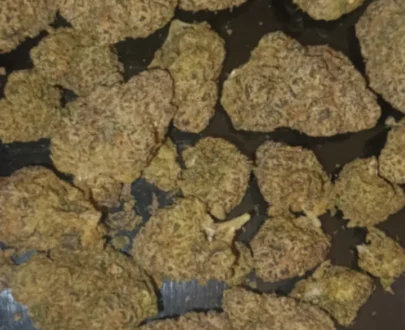 Dankrupt therapeutics -Dark Cookie