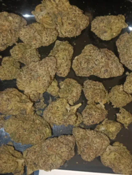 Dankrupt therapeutics -Dark Cookie