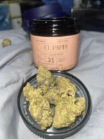 El Pappí Gary Gushers #31