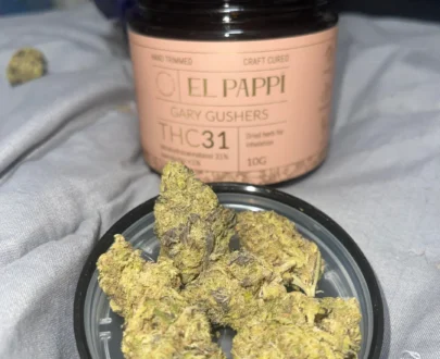 El Pappí Gary Gushers #31