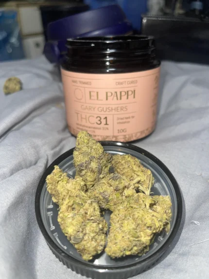 El Pappí Gary Gushers #31