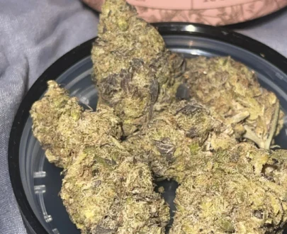 El Pappí Gary Gushers #31