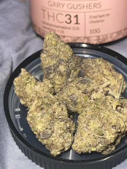 El Pappí Gary Gushers #31