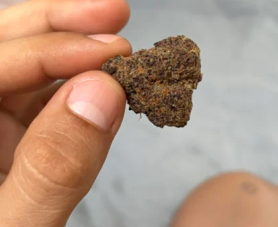 Endoca - Tropicana Cherry