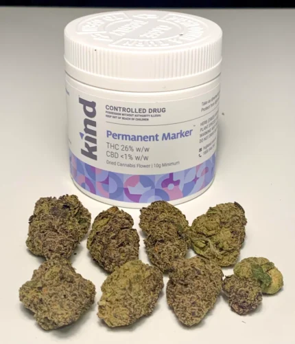 Kind Medical - Permanent Marker