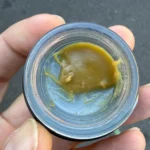 Mango Meringue Live Rosin by DABS