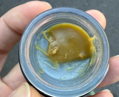Mango Meringue Live Rosin by DABS
