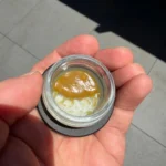 Mango Meringue Live Rosin - DABS (Solventless)