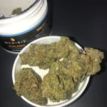 Medbis Maleny Strain