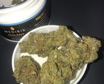 Medbis Maleny Strain