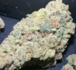 Munchiestash - Grapefruit granddaddy