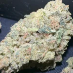 Munchiestash - Grapefruit granddaddy