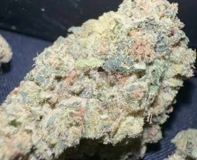 Munchiestash - Grapefruit granddaddy