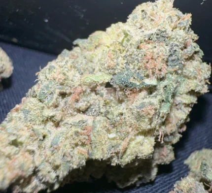 Munchiestash - Grapefruit granddaddy