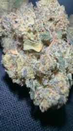 Munchiestash - Grapefruit granddaddy