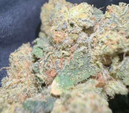 Munchiestash - Grapefruit granddaddy