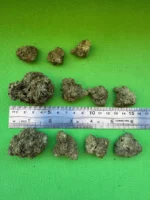 Rainbow Driver - Single Estate