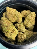 tanley Brothers Sativa 22%