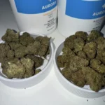 Aurora Chemango Kush 29% Indica