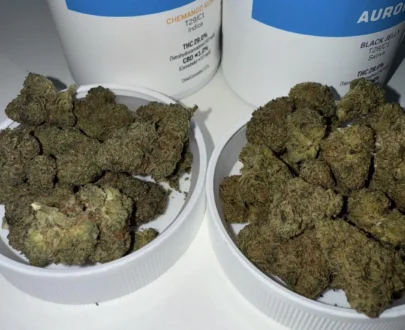 Aurora Chemango Kush 29% Indica