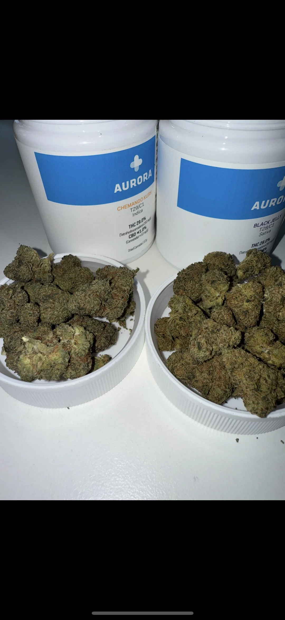 aurora-day-night-flowers-options-v0-kbsgx9ibeckg1 Aurora Chemango Kush 29% Indica