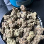 Cabanis Indica 26 (OMG Burger)