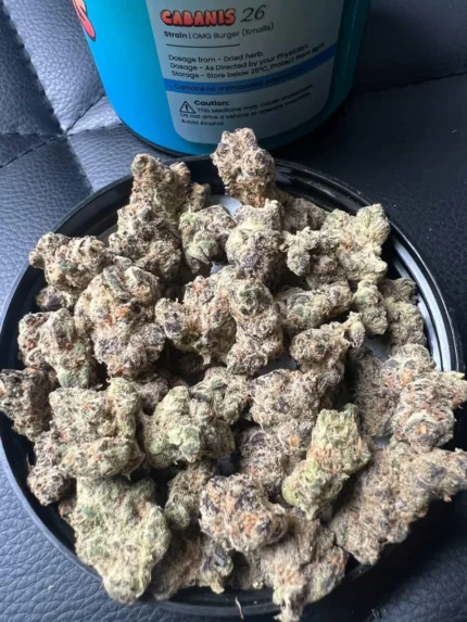 Cabanis Indica 26 (OMG Burger)