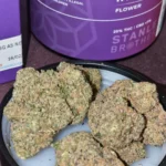 Lemon Cherry Gelato 25