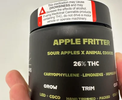 West Coast Palms x Golden Days Cultivators - Apple Fritter